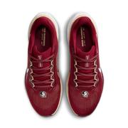 Florida State Nike Zoom Pegasus 41 Shoes